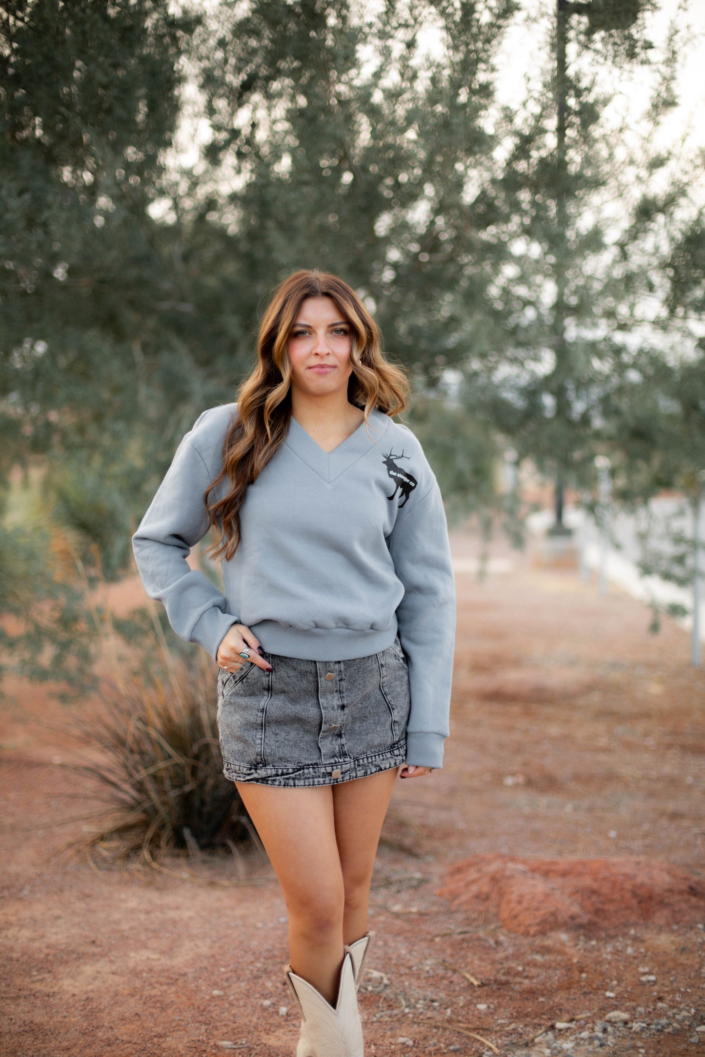 SMALL ONLY - Elk Stovepipe Crewneck