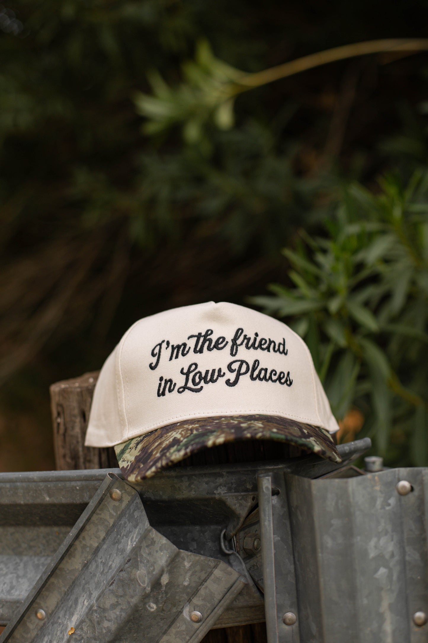 I'm The Friend In Low Places Hat