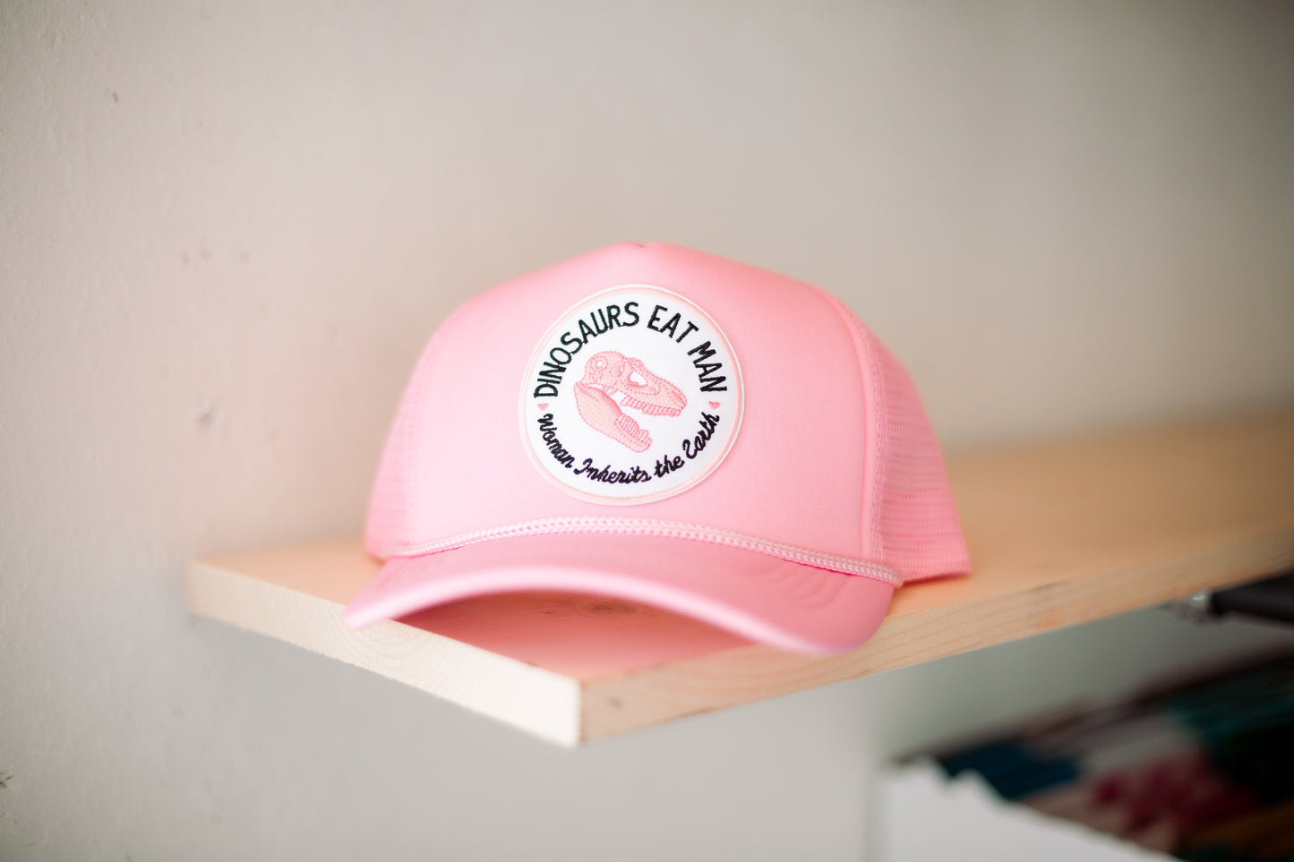 Jurassic Park Hat