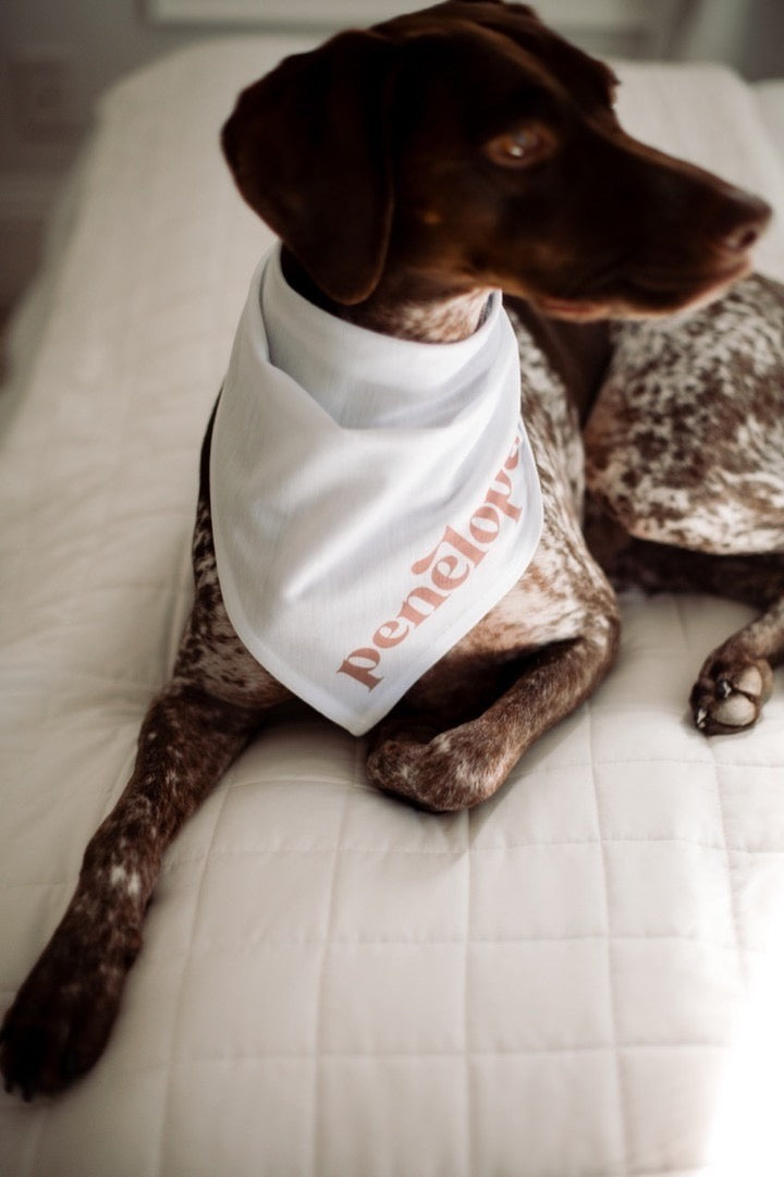 Custom Dog Bandana – The Stovepipe