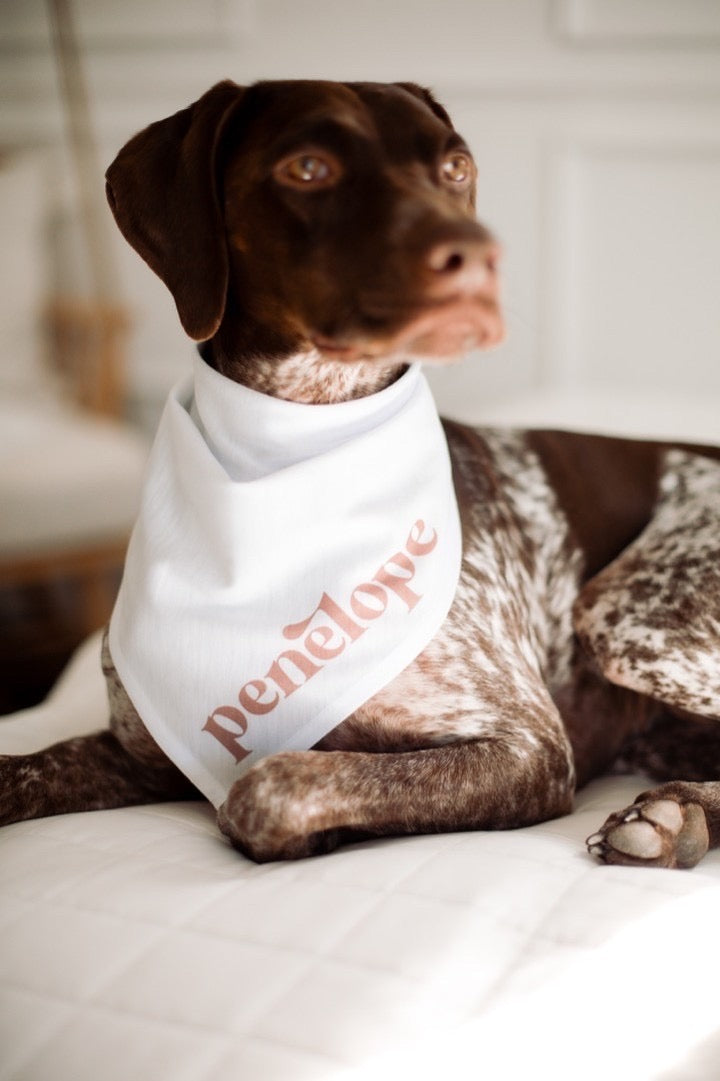 Custom Dog Bandana